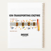 ionenvervoermiddel in actief vervoer planner (Achterkant)