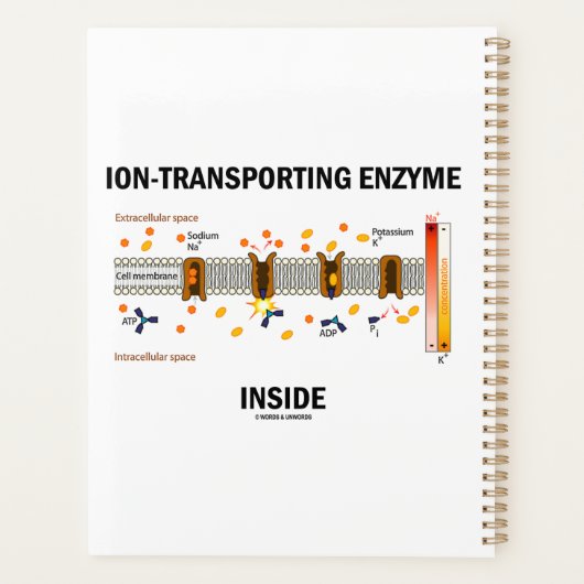 ionenvervoermiddel in actief vervoer planner (Achterkant)