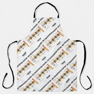 ionenvervoermiddel in actief vervoer schort