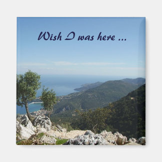 Ionische dromen magneet