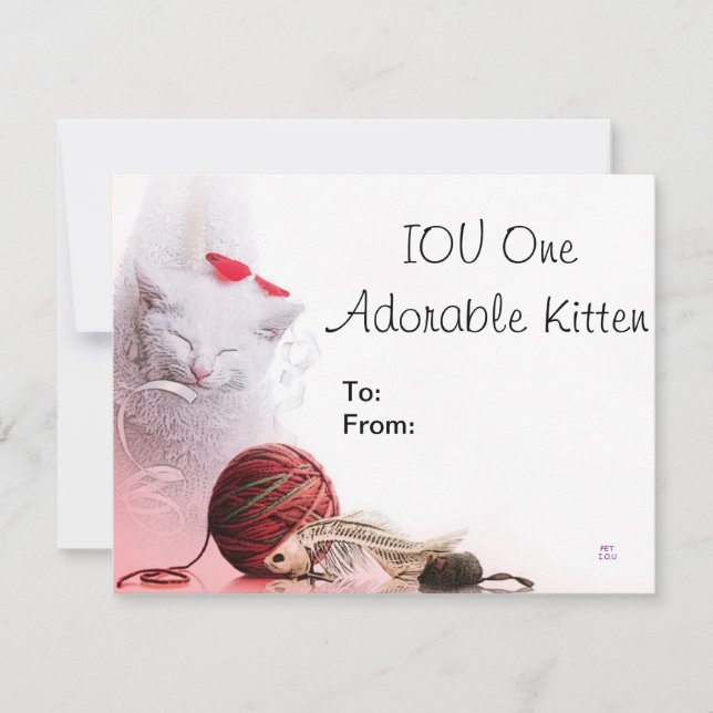 IOU One Schattig Kitten (Voorkant)
