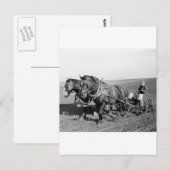 Iowa Corn Planter, jaren 40 Briefkaart (Voorkant / Achterkant)