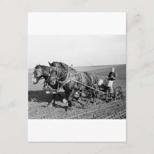 Iowa Corn Planter, jaren 40 Briefkaart (Voorkant)