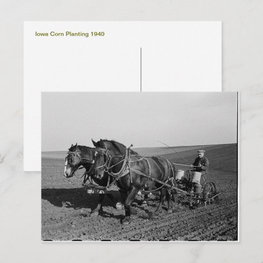 Iowa Corn Planting Briefkaart (Voorkant / Achterkant)