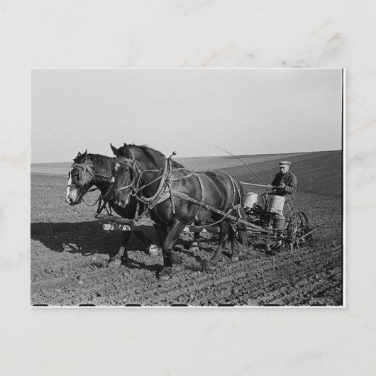 Iowa Corn Planting Briefkaart (Voorkant)