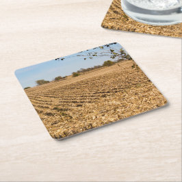 Iowa Cornfield Panorama Foto Kartonnen Onderzetters