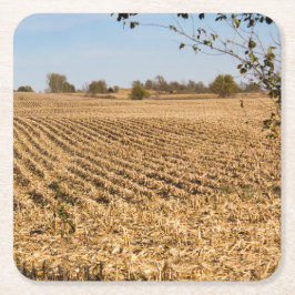 Iowa Cornfield Panorama Foto Kartonnen Onderzetters