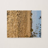 Iowa Cornfield Panorama Foto Legpuzzel (Horizontaal)