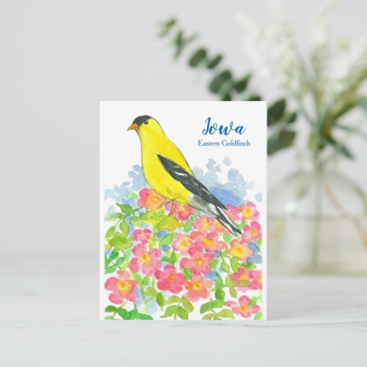 Iowa Eastern Goldfinch Roze Wilde Rozen Briefkaart (Staand voorkant)