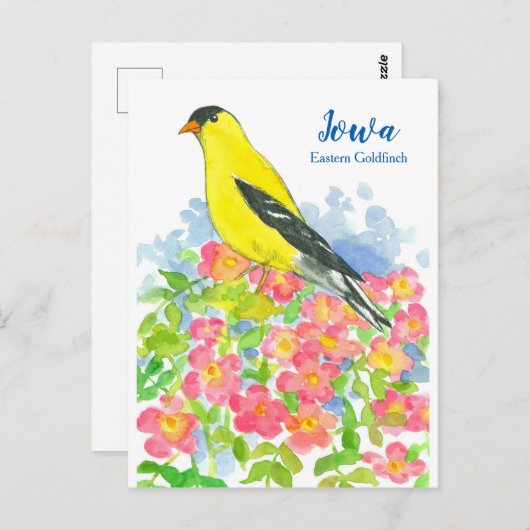 Iowa Eastern Goldfinch Roze Wilde Rozen Briefkaart (Voorkant / Achterkant)