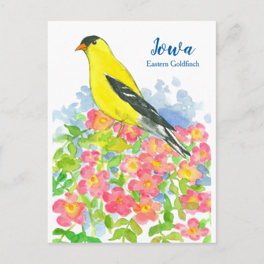 Iowa Eastern Goldfinch Roze Wilde Rozen Briefkaart (Voorkant)