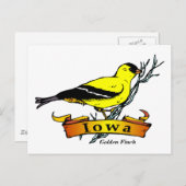 Iowa Goldfinch Briefkaart (Voorkant / Achterkant)
