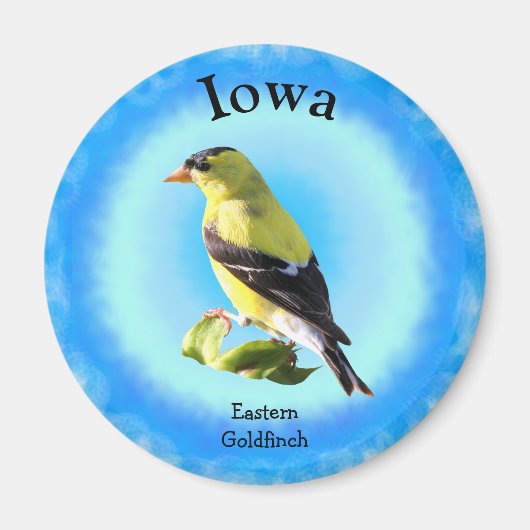 Iowa Magneet (Voorkant)