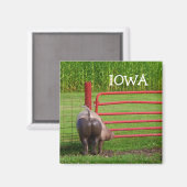 Iowa Magnet (Voorkant / Achterkant)