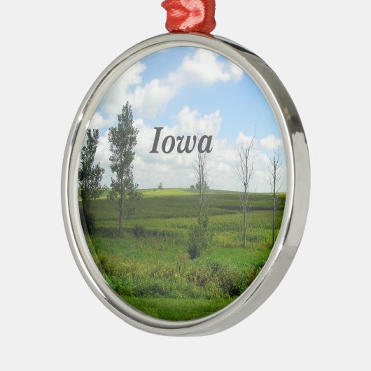 Iowa Metalen Ornament (Links)