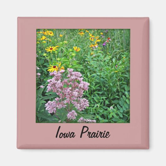 Iowa Prairie Magneet (Voorkant)