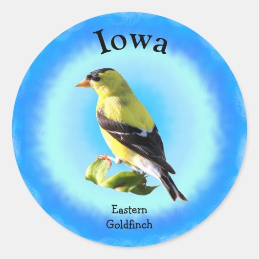 Iowa Ronde Sticker (Voorkant)