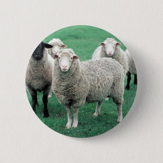 Iowa Sheep Ronde Button 5,7 Cm (Voorkant)