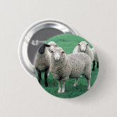 Iowa Sheep Ronde Button 5,7 Cm (Voorkant /achterkant)