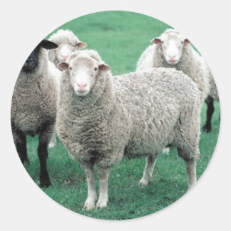 Iowa Sheep Ronde Sticker