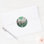 Iowa Sheep Ronde Sticker (Envelop)