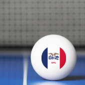 Iowa Staatsvlag Pingpongbal (Net)