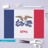 Iowa Staatsvlag Tissuepapier (Craft)