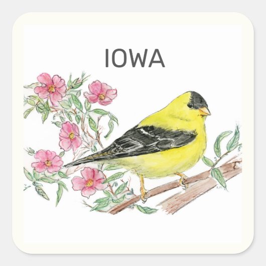 Iowa staatvogel en -bloem vierkante sticker (Voorkant)