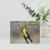 Iowa State Bird - American Goldfinch Briefkaart (Staand voorkant)