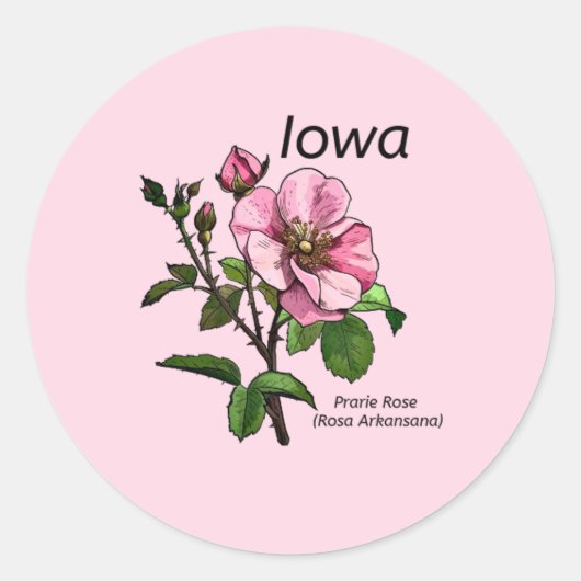 Iowa State Flower Sticker (Voorkant)