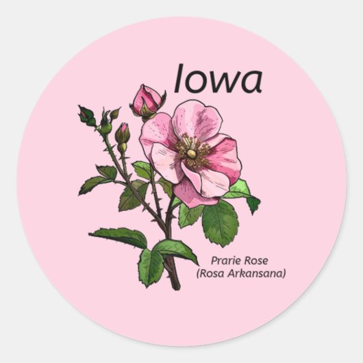 Iowa State Flower Sticker (Voorkant)