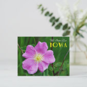 Iowa State Flower: Wild Prairie Roos Briefkaart (Staand voorkant)