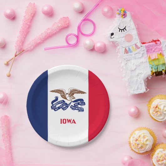 Iowa Statenvlag Papieren Bordje (Feest)