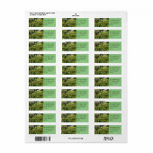 Iowa Tropics Etiket (Full Sheet)