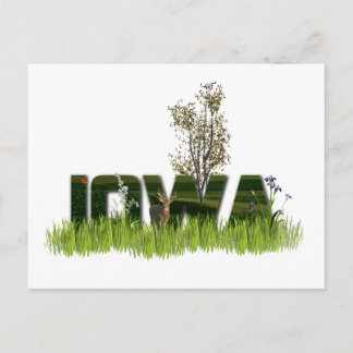 Iowa Wildlife Briefkaart