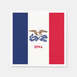 Iowan Flag, Flag of Iowa Servet