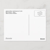 Ipanema Beach Briefkaart (Achterkant)