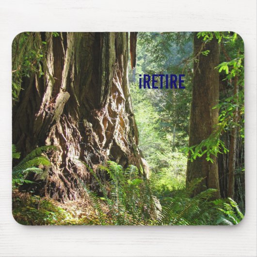 iPENSioen muismat Redwoods Bomen (Voorkant)