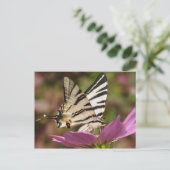 Iphiclides podaliririus briefkaart (Staand voorkant)