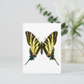 Iphiclides podaliririus briefkaart (Staand voorkant)