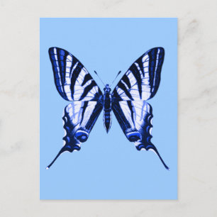 Iphiclides podalirius-Briefkaart Briefkaart