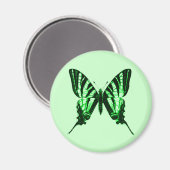 Iphiclides podalirius Magnet (Voorkant / Achterkant)