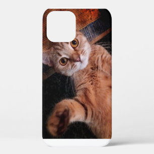 iPhone12 Pro hoesjes ...cat