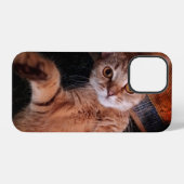iphone12 pro hoesjes ...kat iPhone hoesje (Achterkant horizontaal)