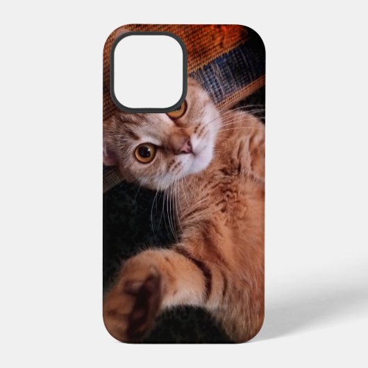 iphone12 pro hoesjes ...kat iPhone hoesje (Achterkant)