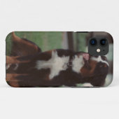 iPhone5/5S robuust Xtreme Hoesje - Berner (Achterkant (horizontaal))