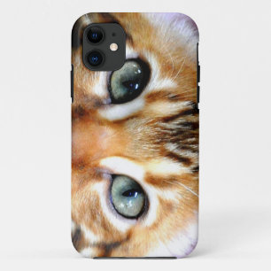 iPhone5 Hoesje Bengaal Exotic Cat Tiger-achtig