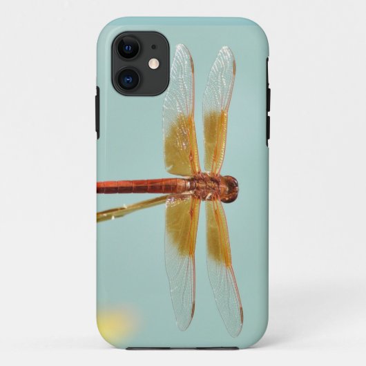 iPhone5 Hoesje Dragonfly met iriserende kleuren (Achterkant)