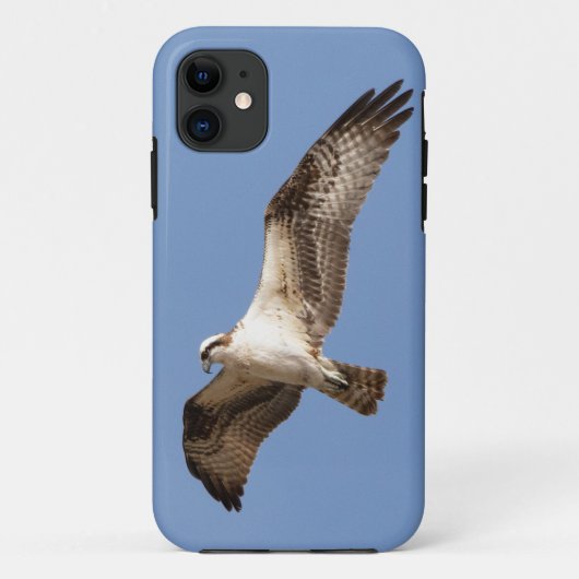 iPhone 11 hoesje met visarend (Achterkant)
