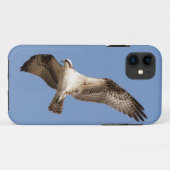 iPhone 11 hoesje met visarend (Achterkant (horizontaal))